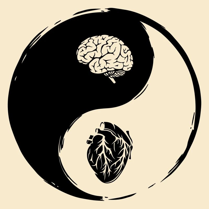 Yin Yang Herz Gehirn