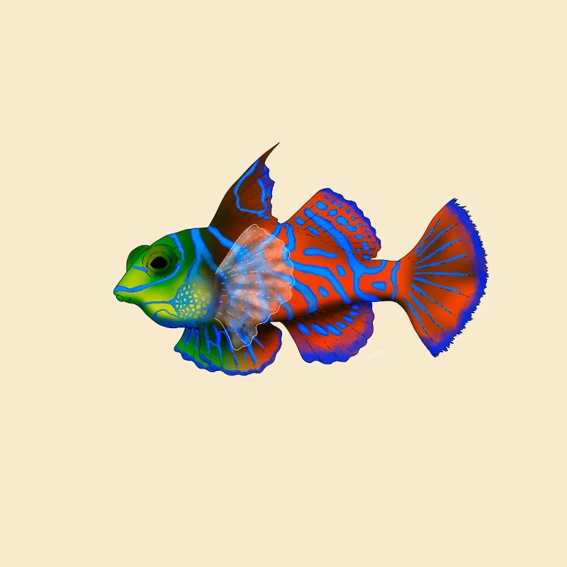 Mandarin Fish
