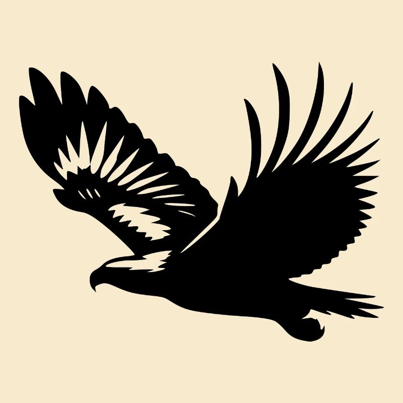 White-tailed eagle on broad wings on the rise