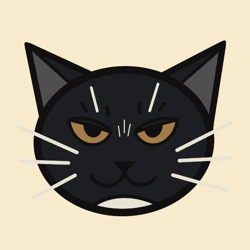 Cookie The Cat