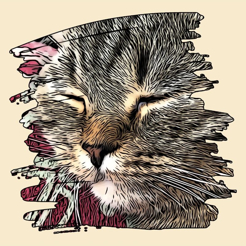 Visage de chat 6