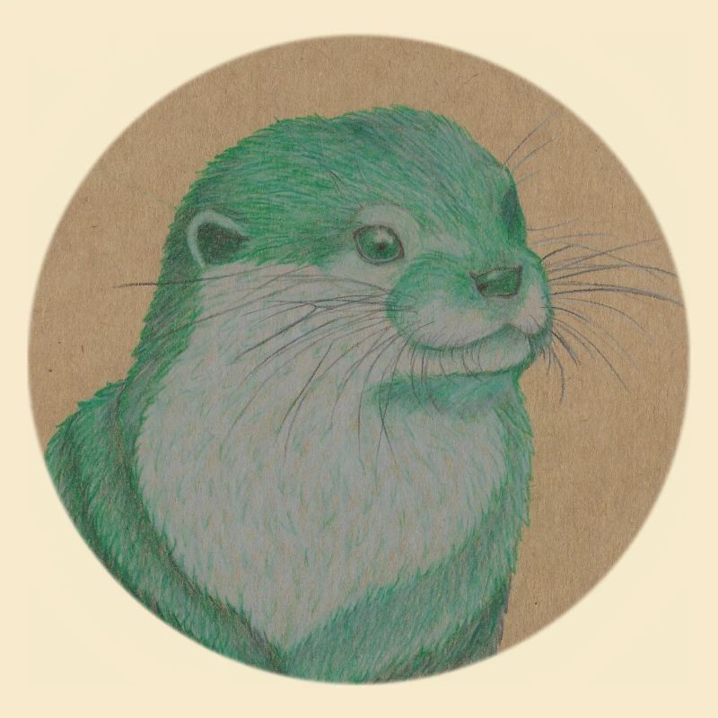 Otter 2 20 11 2022