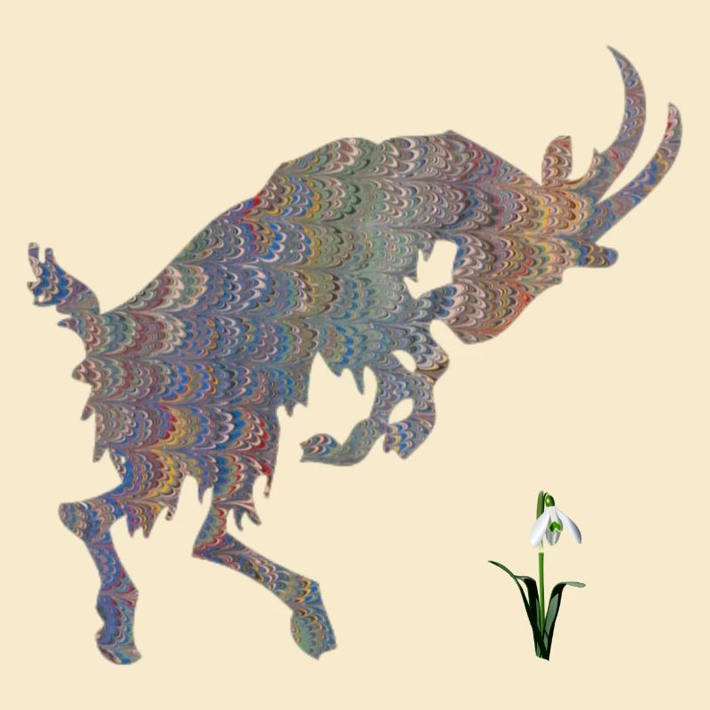 chèvre avec perce-neige e 49