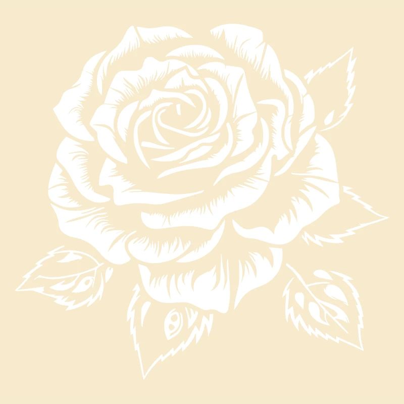 Rose blanche