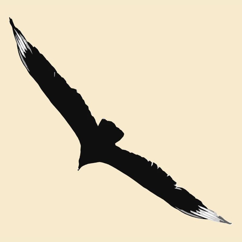 aigle volant