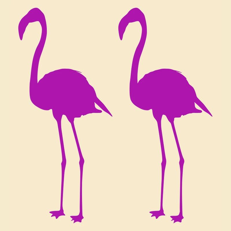 flamingos