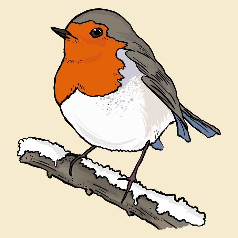Robin sur la branche