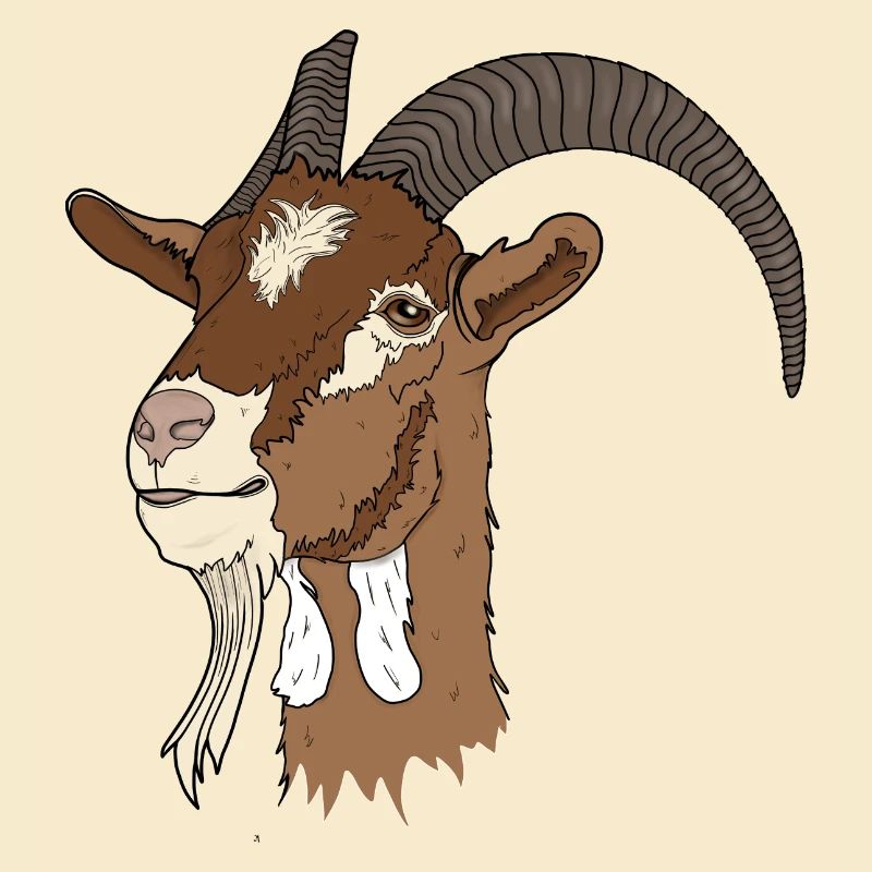 Capra