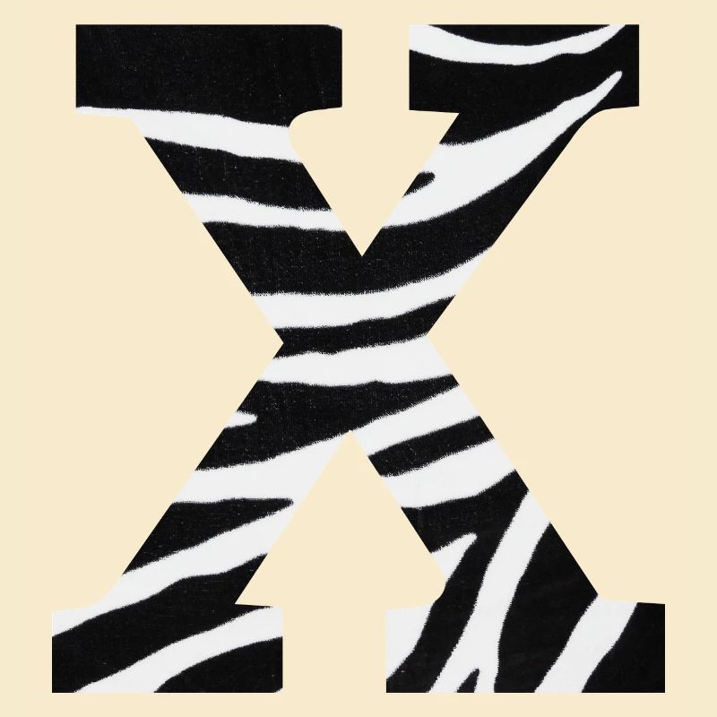Letter x zebra