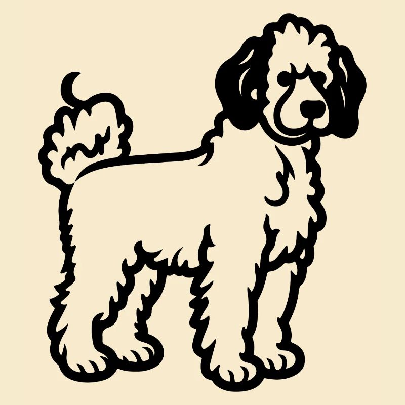Caniche Chien