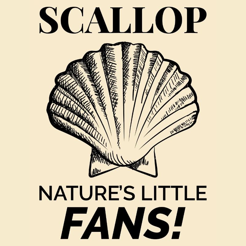 Scallop Seashells Collector Beachcomber Shellfish