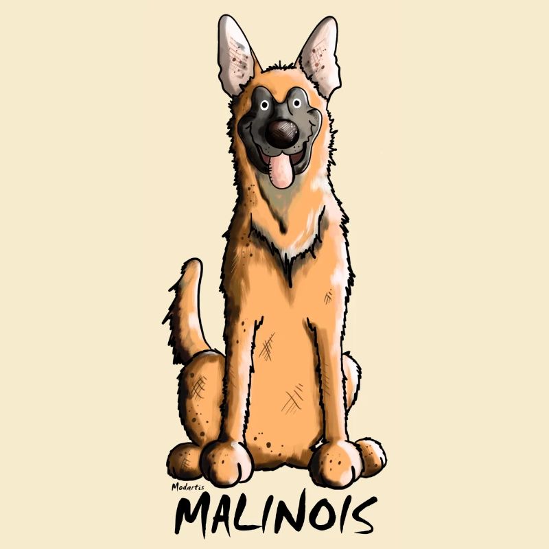 Funny Malinois - Belgian Shepherd Dog