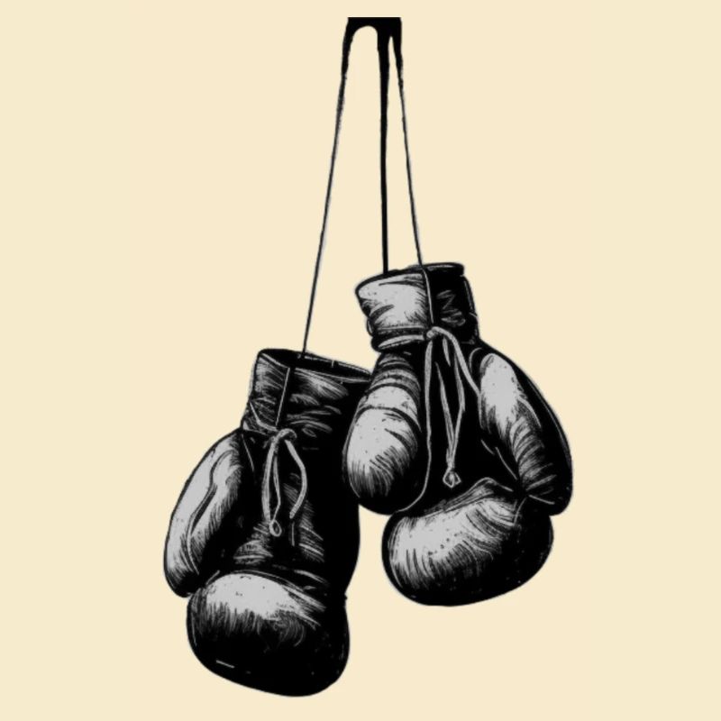 Boxhandschuhe