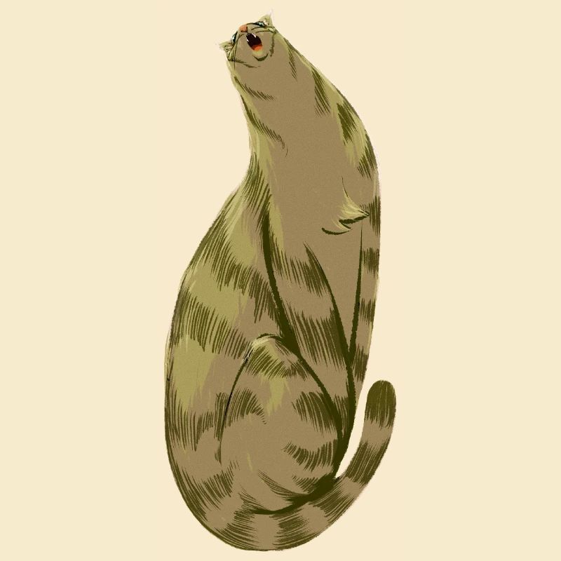 Olive Mou