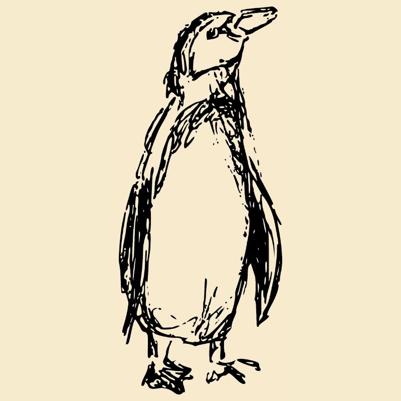 Pinguin