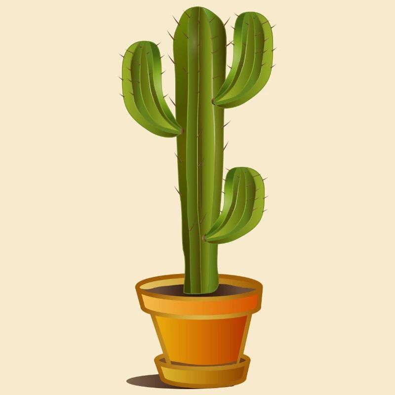 Grand cactus vert dans un pot de fleurs