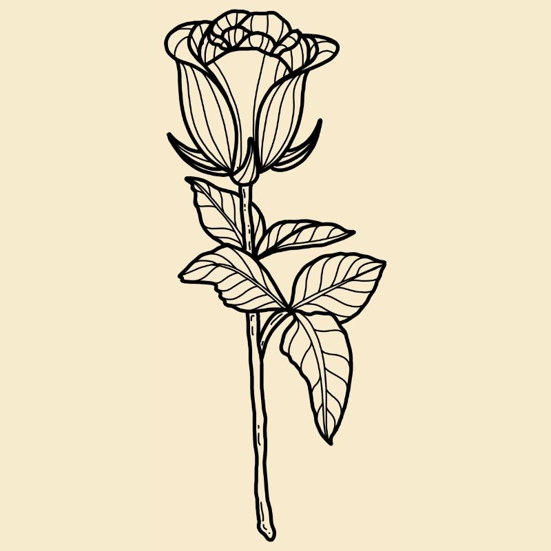 Rose fleur