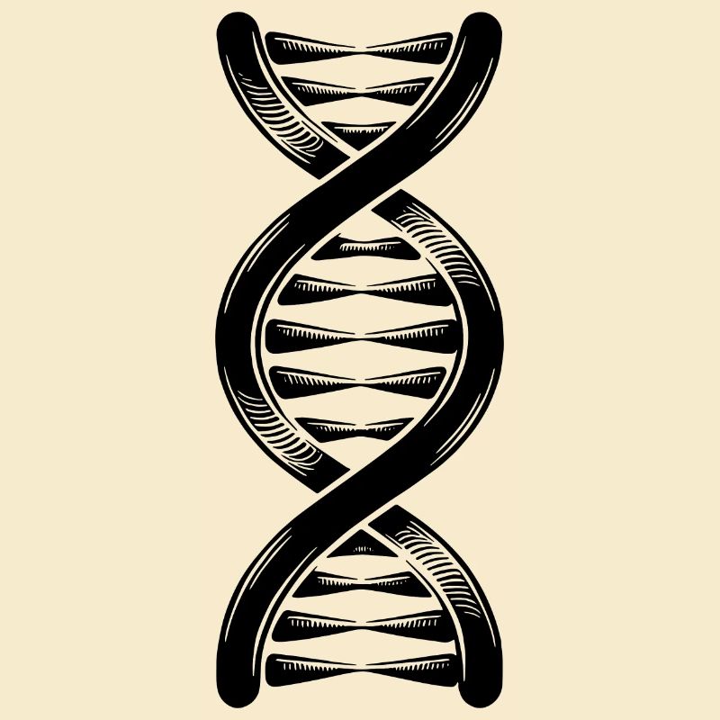 DNA strand double helix with hydrogen bonds