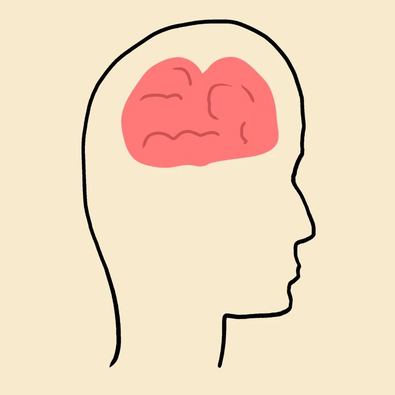 Head Profile People Side Brain Form