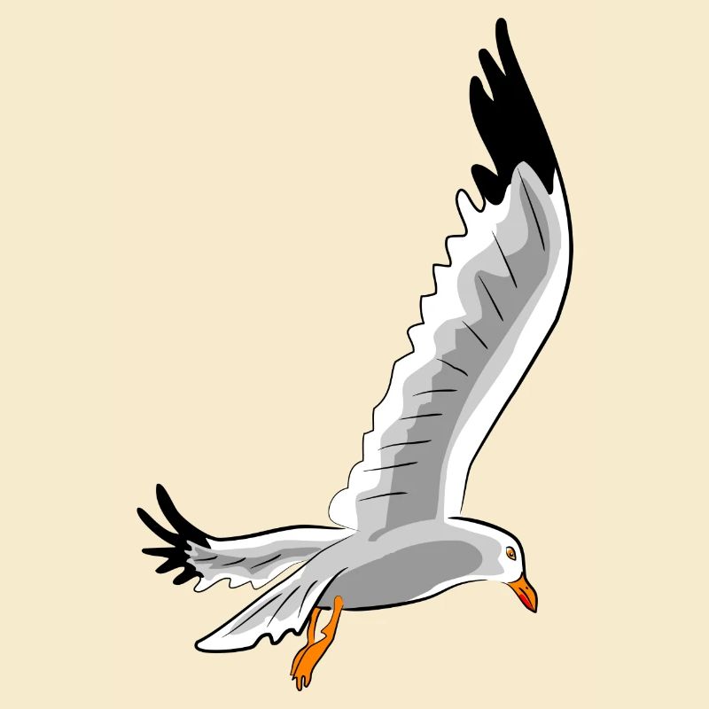 fliegende moewe vogel