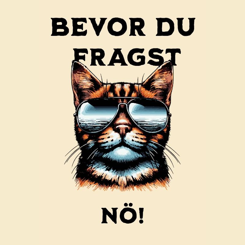 Bevor du Fragst Nö!