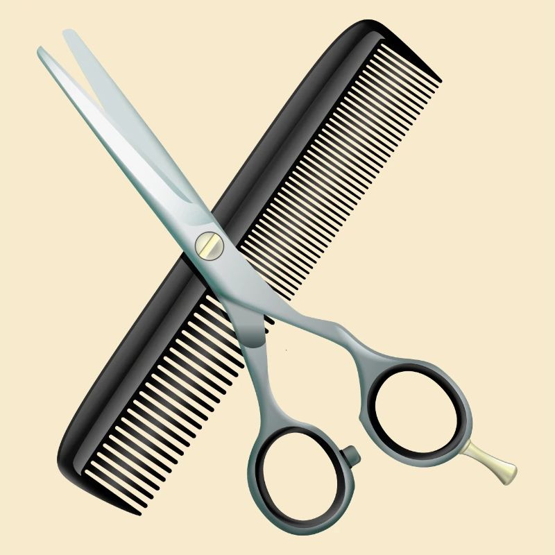 Ciseaux de coiffure avec peigne