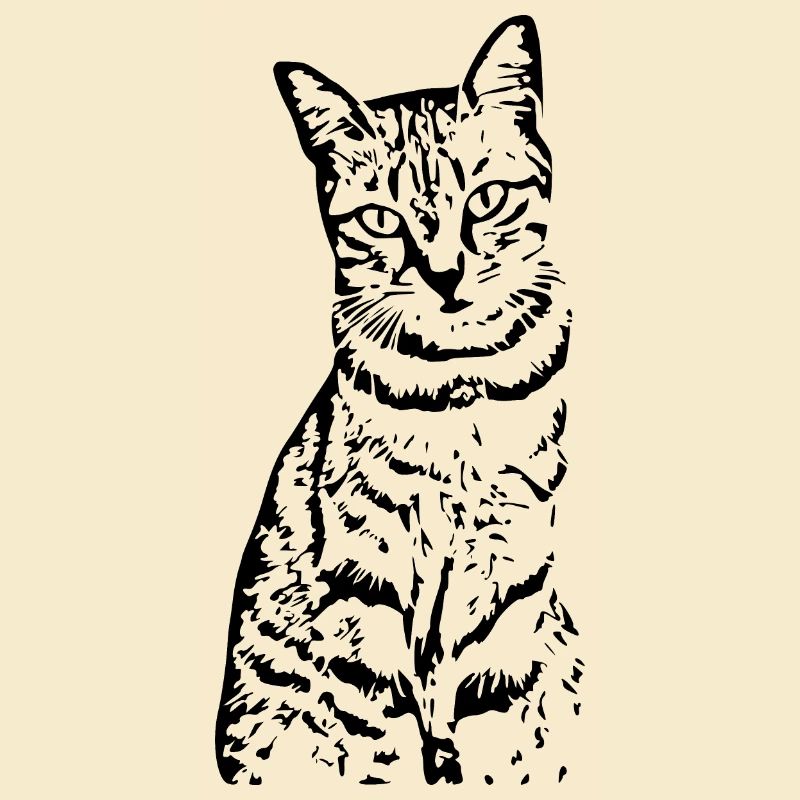Chat Chaton Tigre Chat Chat Chat Cadeau