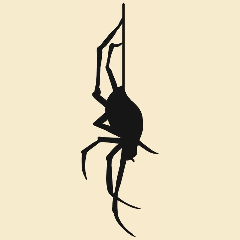 Halloween Gift Spider Spider Web