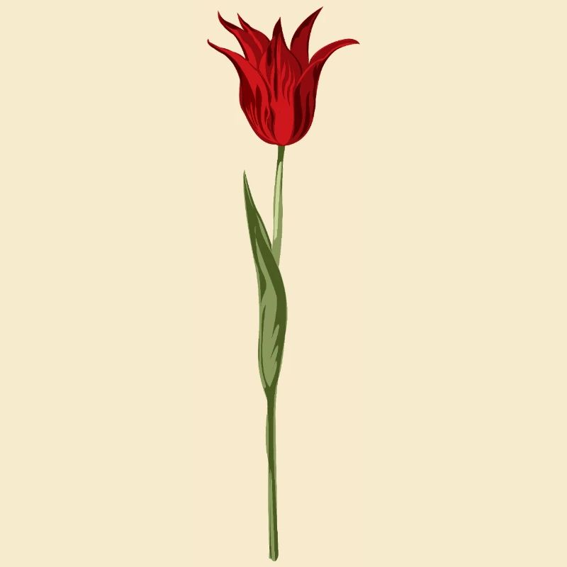 Tulipe abstraite fleur en rouge