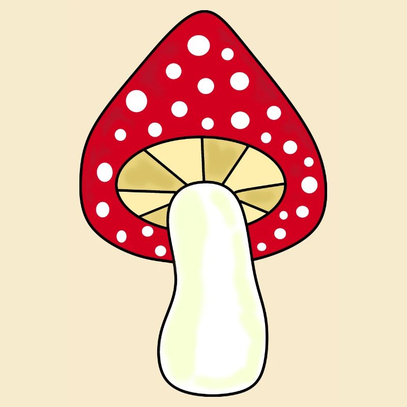 Toadstool, mushroom in the woods gift