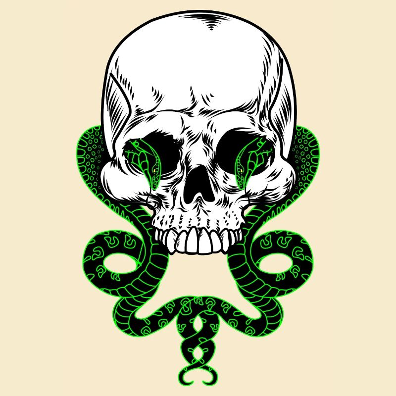 Skull with two snakes
