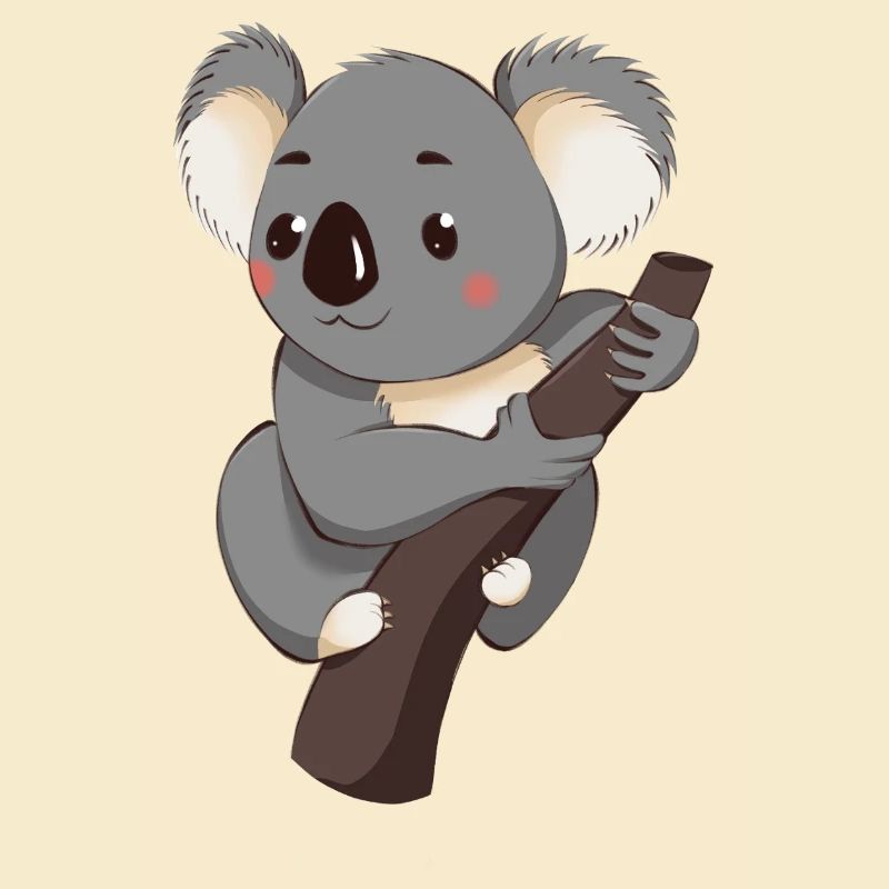 Koala