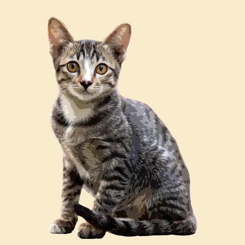Chats Portrait vintage Chat Design de chat