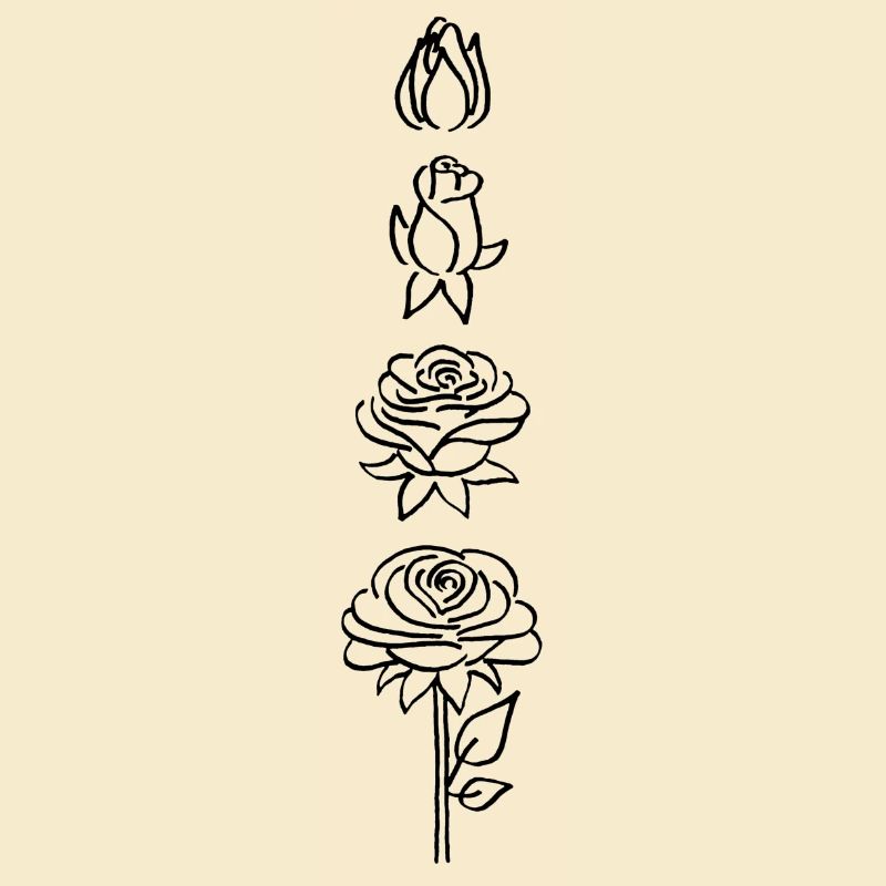 éclosion d'une fleur noire