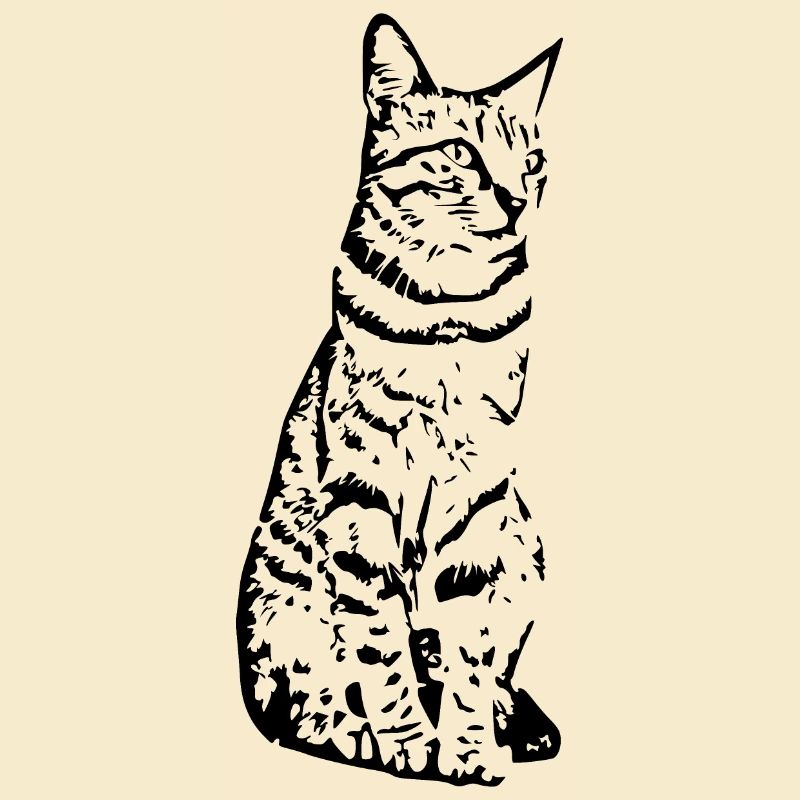 Chat noir