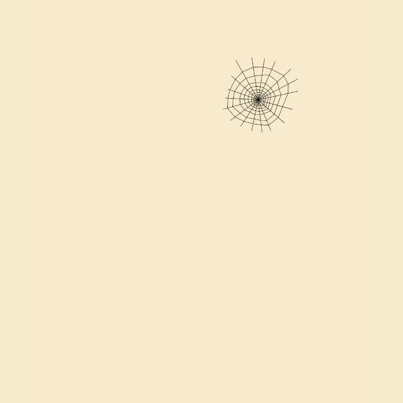 Spinnennetz