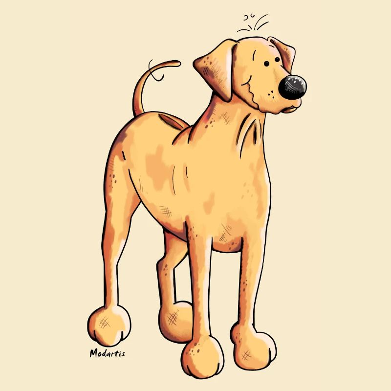 Souriant Rhodesian Ridgeback
