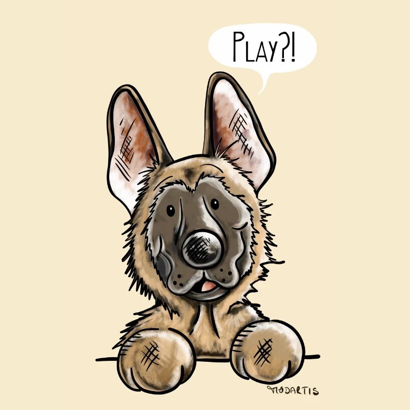 Malinois Play