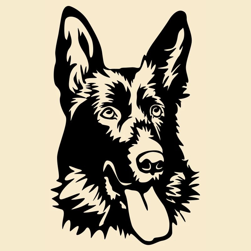 Deutscher Schäferhund Kopf