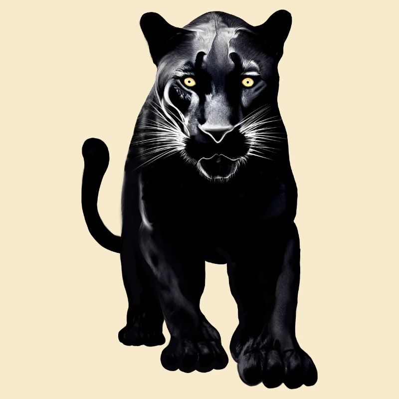 Léopard noir