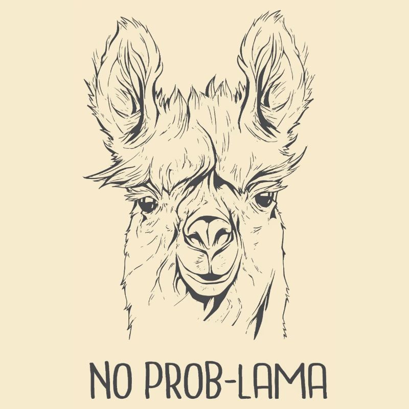 Pas de problème – Alpaga cool : expression drôle