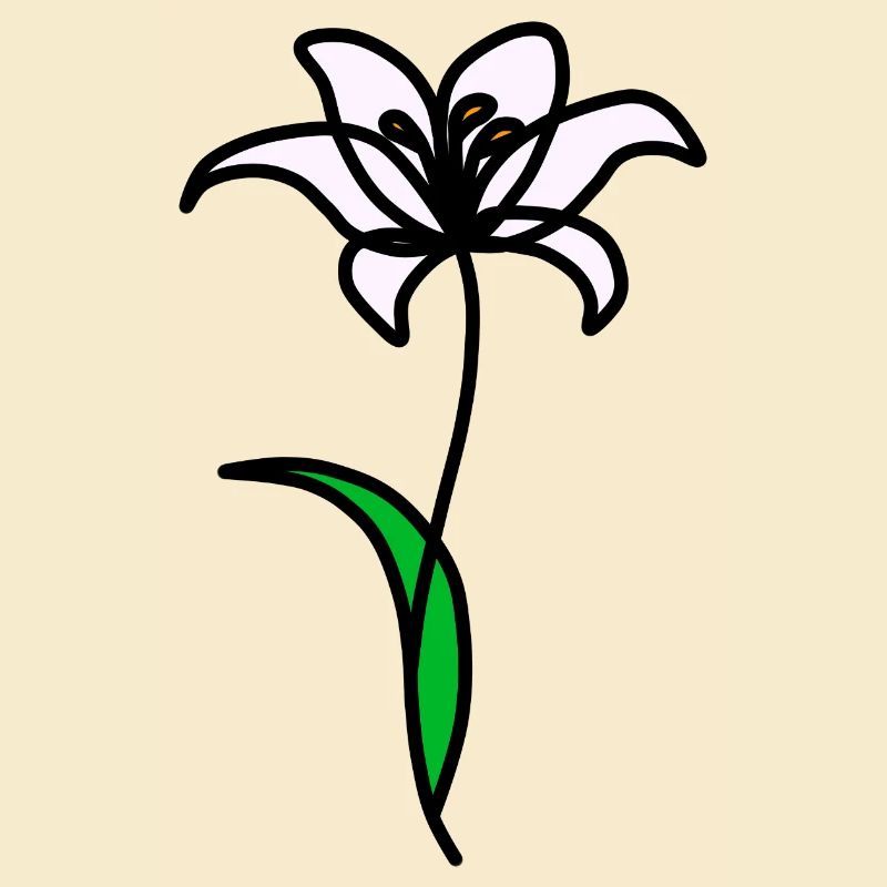 Minimalist Lily