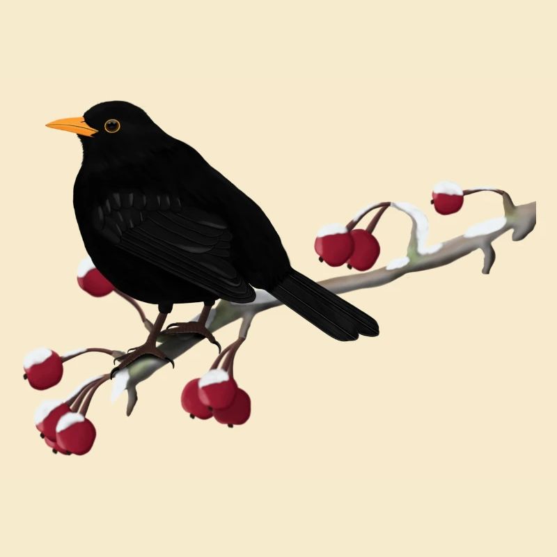 Blackbird bird on a branch birdwatcher