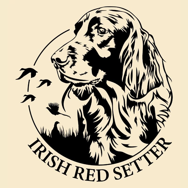 Irish Red Setter Jagdhund Jagdhunde Hunde Wilsigns