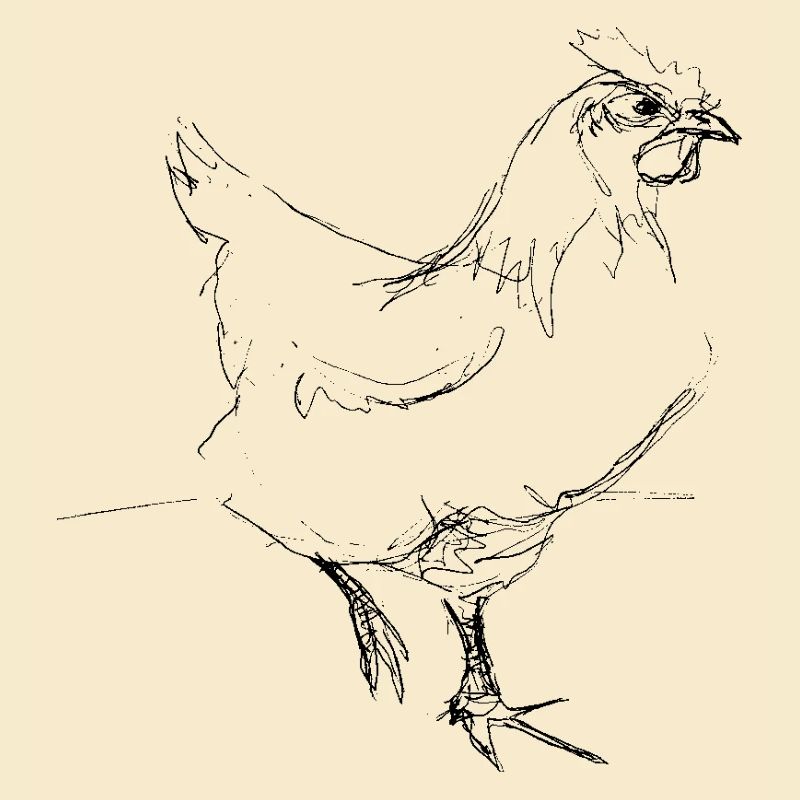 Huhn