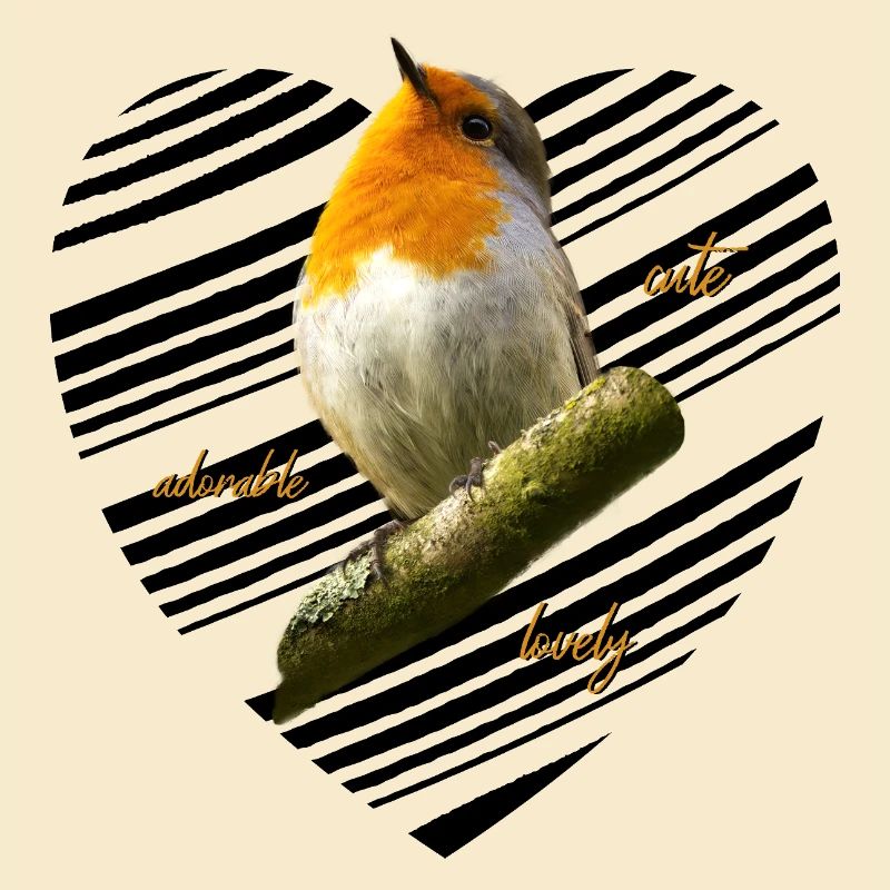 Rotkehlchen Singvogel