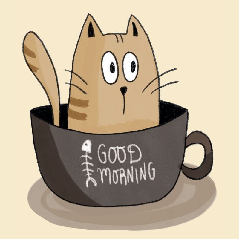 Chat du matin
