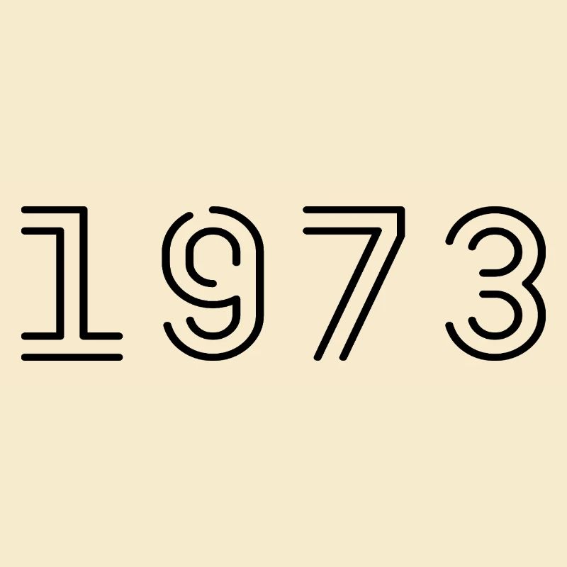1973 Retro 1973 Gift 1973 Vintage 1973