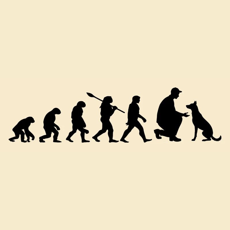 Evolution Funny Belgian Malinois Shepherd Dog
