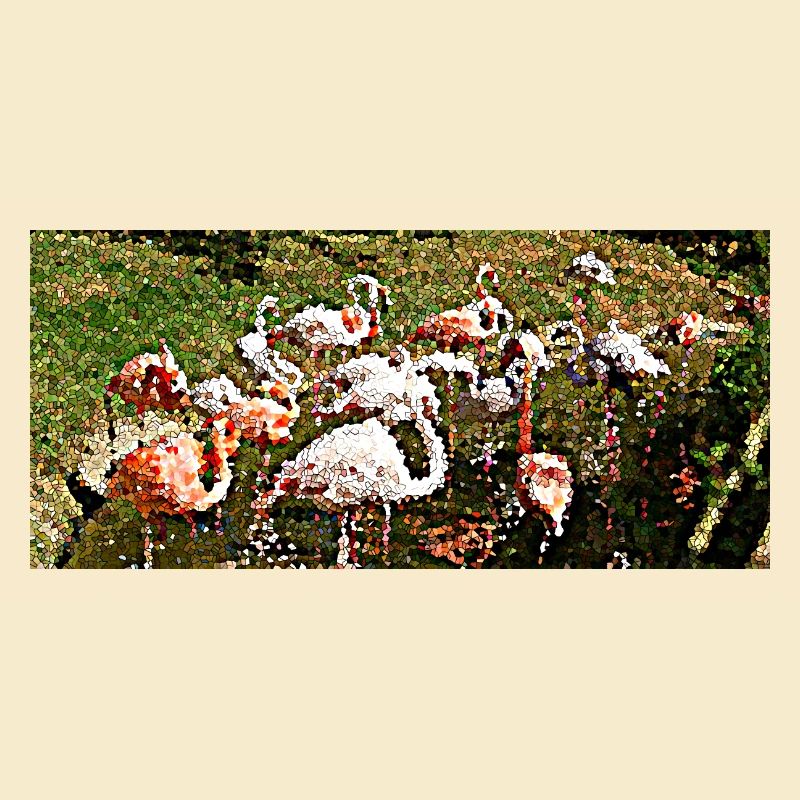 Flamingos